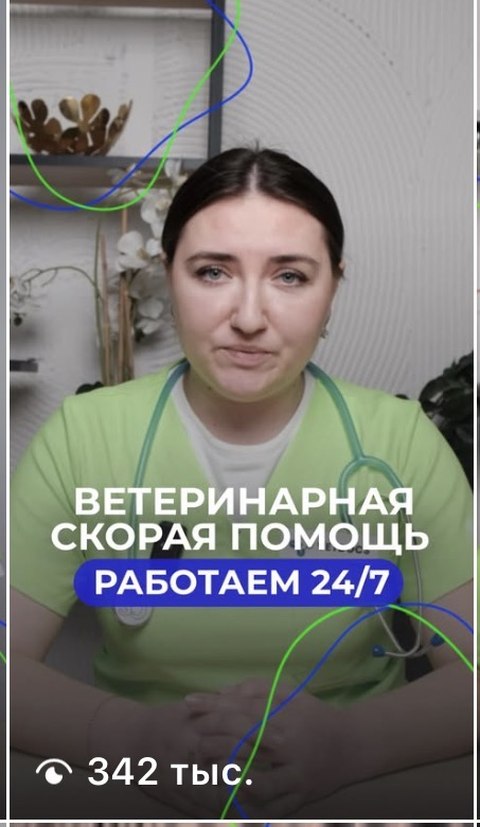 Ролик «Ветеринарная скорая помощь, работаем 24/7», 342 тыс. просмотров