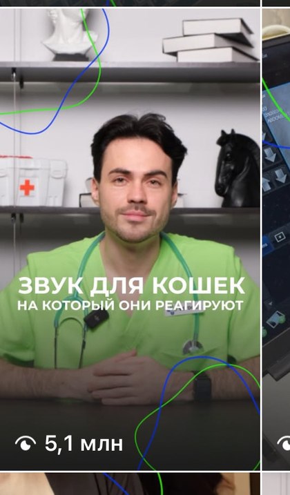 Ролик «Звук для кошек, на который они реагируют», 5,1 млн просмотров