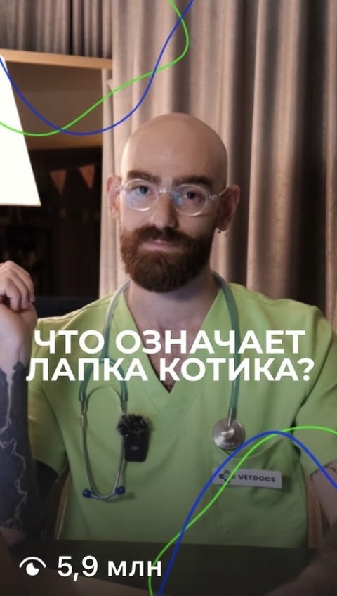Ролик «Что означает лапка котика?», 5,9 млн просмотров