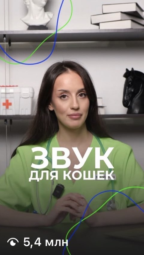Ролик «Звук для кошек», 5,4 млн просмотров
